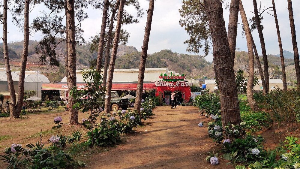 Hướng dẫn đường đi đến Chimi Farm