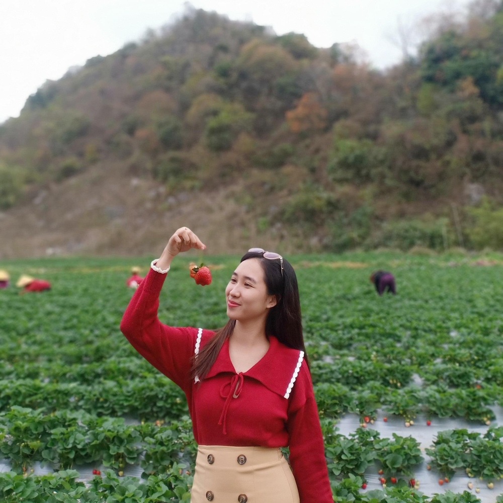 Tips chụp ảnh đẹp tại vườn dâu Chimi Farm