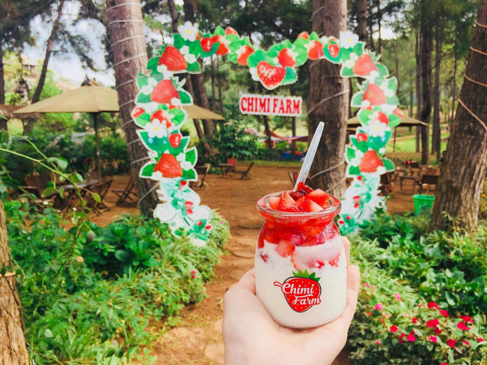 Chimi farm Mộc Châu