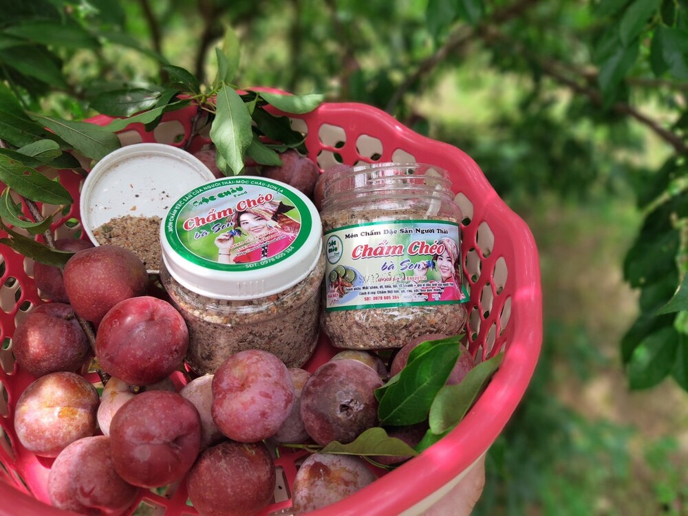 Chẩm chéo Mộc Châu