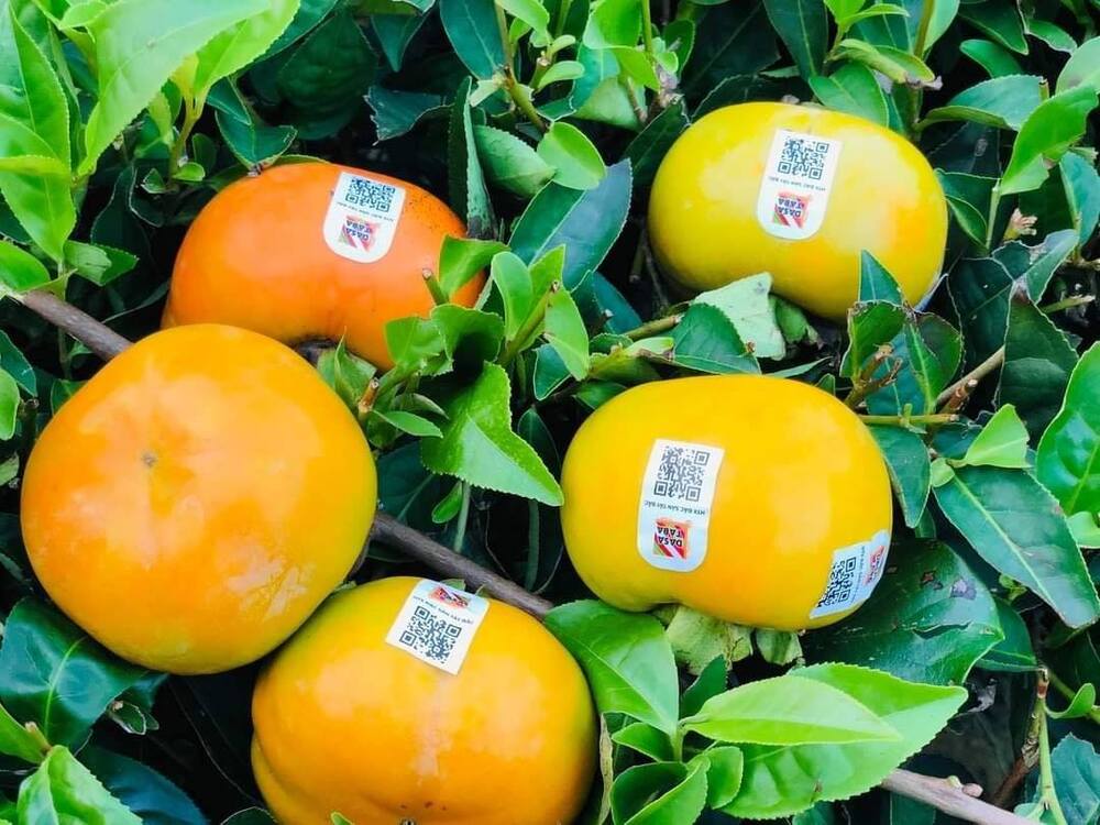 Hoa quả tươi: Dâu tây, đào tươi, mận