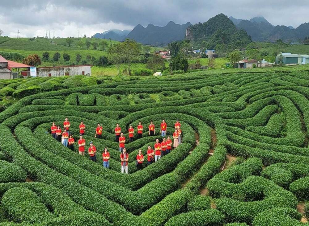 Đồi chè Trái Tim Mộc Châu ở đâu?