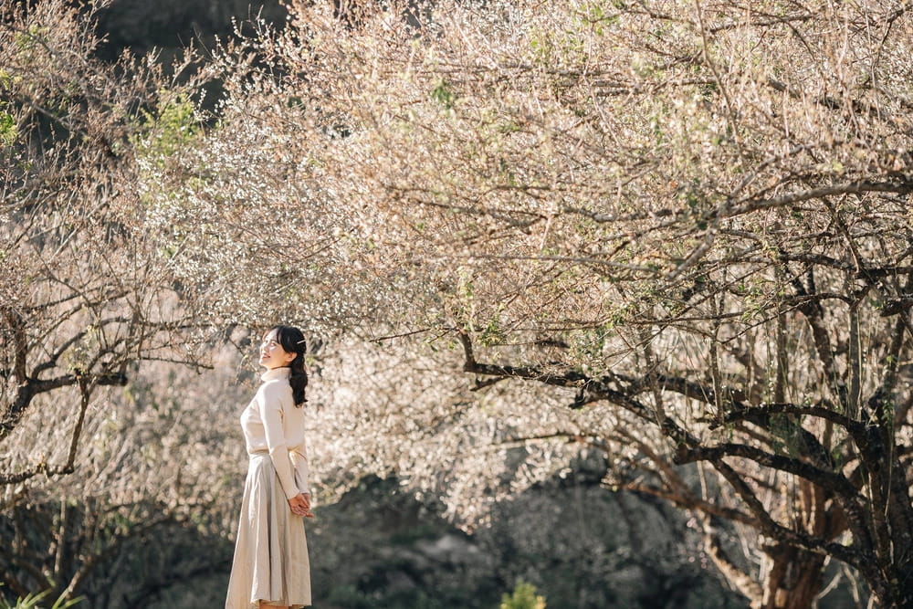 Mộc Châu nằm ở đâu?