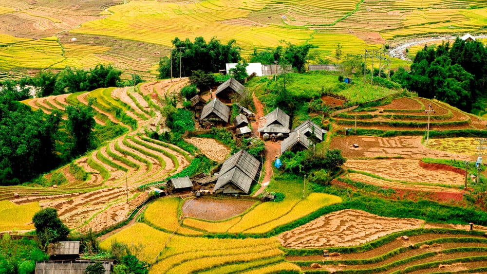 Tả Phìn Sapa