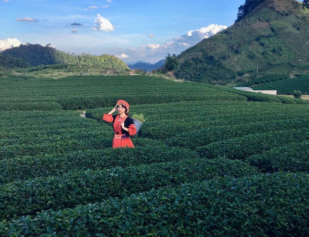 Thị trấn Nông trường Mộc Châu ở đâu?