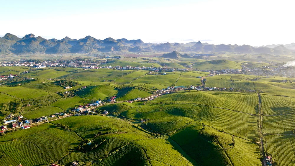 Nông trường Mộc Châu