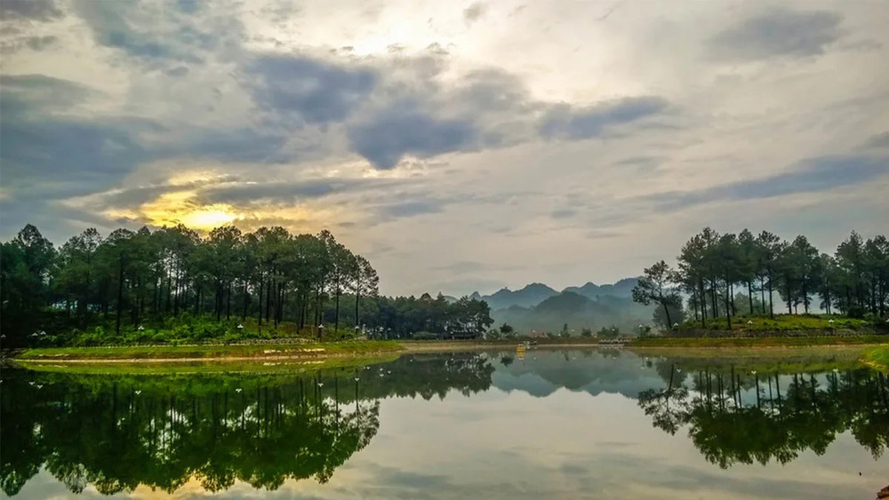 Giá vé vào cổng Rừng Thông 2026