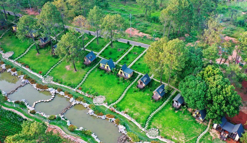 Review các homestay “cực chill” tại Rừng Thông Bản Áng