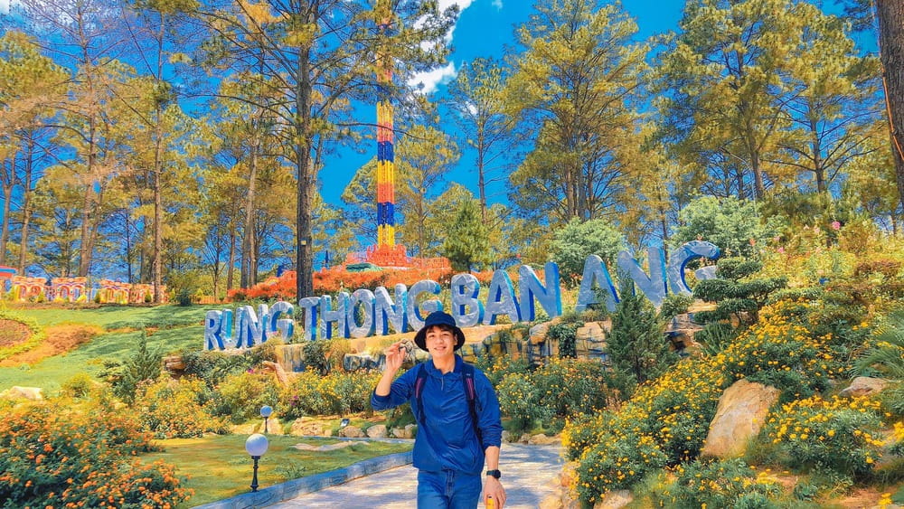 Kinh nghiệm du lịch Rừng Thông Bản Áng