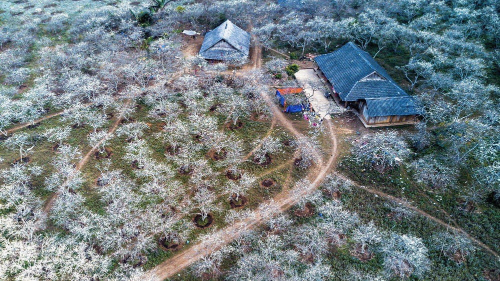 Giá vé tham quan Thũng Lũng Mận Nà Ka