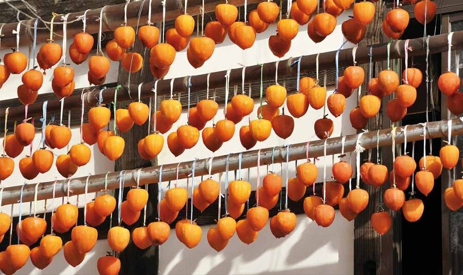 Cửa hàng hồng treo Đà Lạt