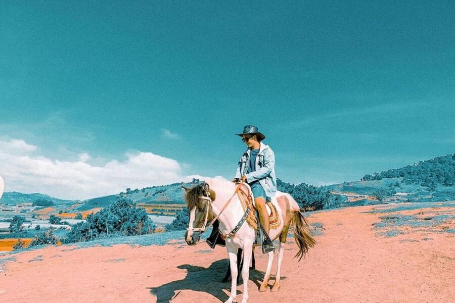 Uống cafe, cưỡi ngựa, chụp ảnh trên đỉnh núi