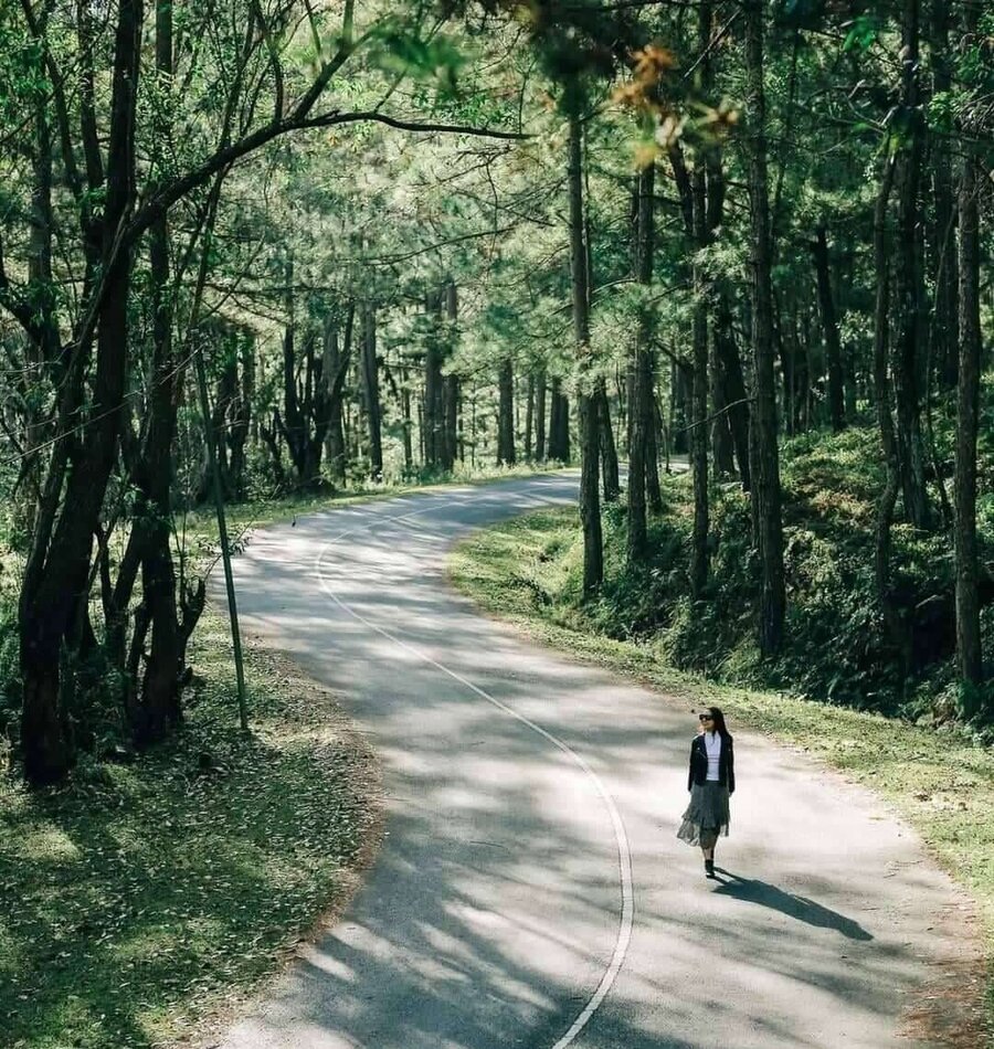 Lưu ý khi đi tham quan Thung Lũng Vàng