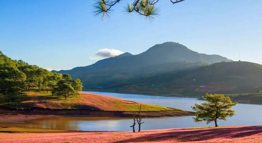 Địa chỉ Thung Lũng Vàng