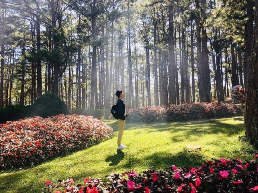 Tham quan những vườn hoa đầy màu sắc