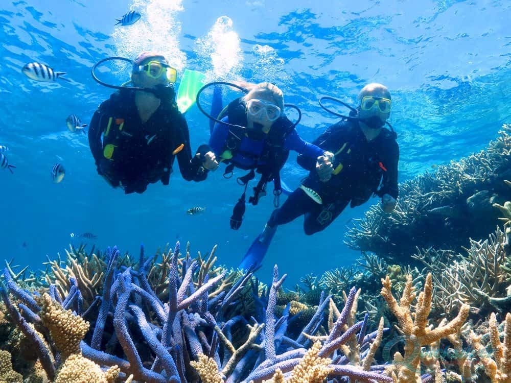 Lặn biển ngắm san hô