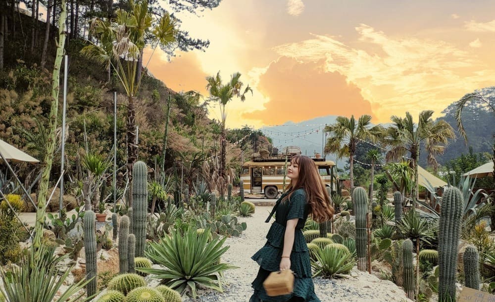 Hướng dẫn di chuyển đến Kombi Land Coffee Đà Lạt