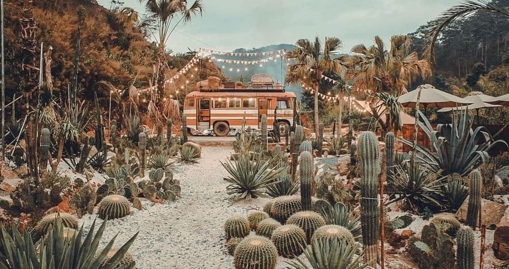 Kombi Land Coffee Đà Lạt - Ốc đảo xương rồng cực chất