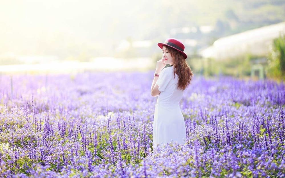 Làng hoa Vạn Thành là nơi check in sống ảo nỏi tiếng