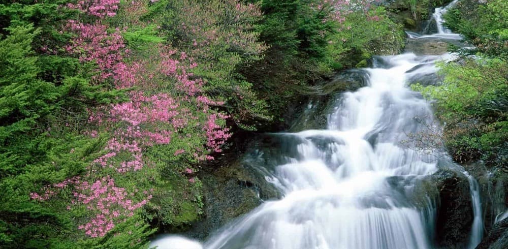 Không khí trong lành ở Suối Tranh