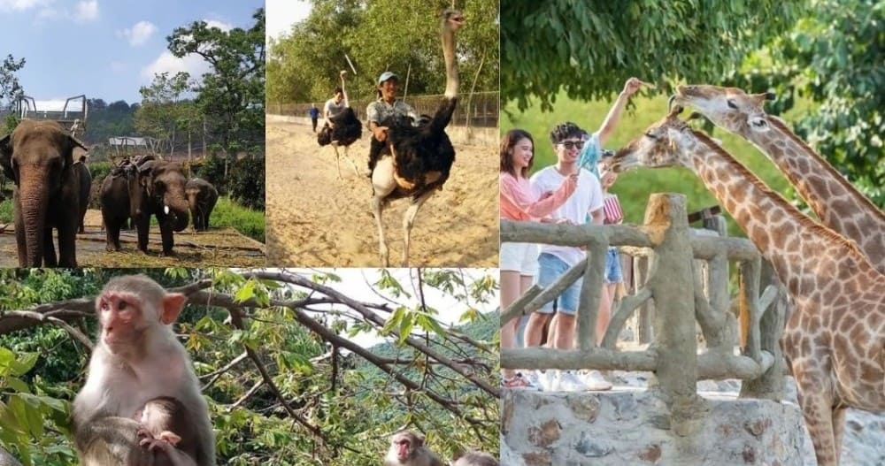 Khu vườn thú nhỏ tại thác Prenn