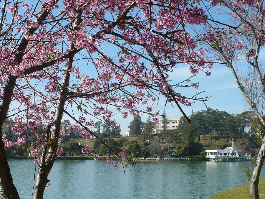 Hồ Xuân Hương Đà Lạt