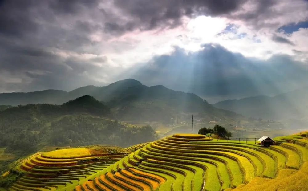 Nên ghé thăm quan và du lịch Hoàng Su Phì vào mùa nào