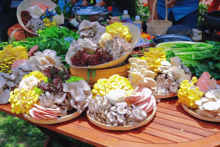 Thưởng thức các món ngon từ nấm