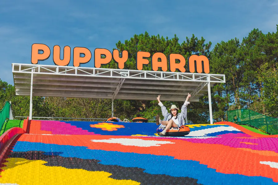 Nông trại cún Puppy Farm