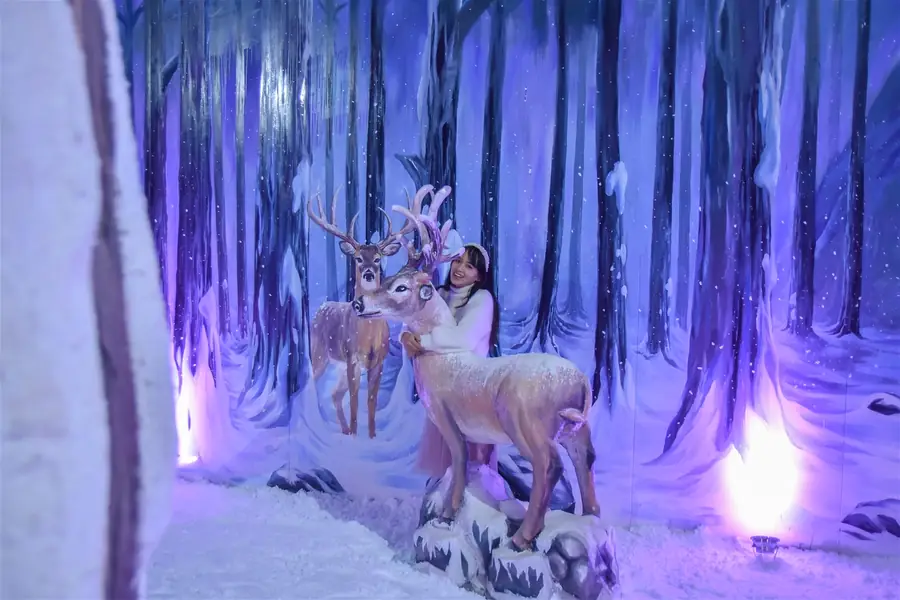 Kinh nghiệm cho du khách đi chơi khu du lịch Wonderland Đà Lạt