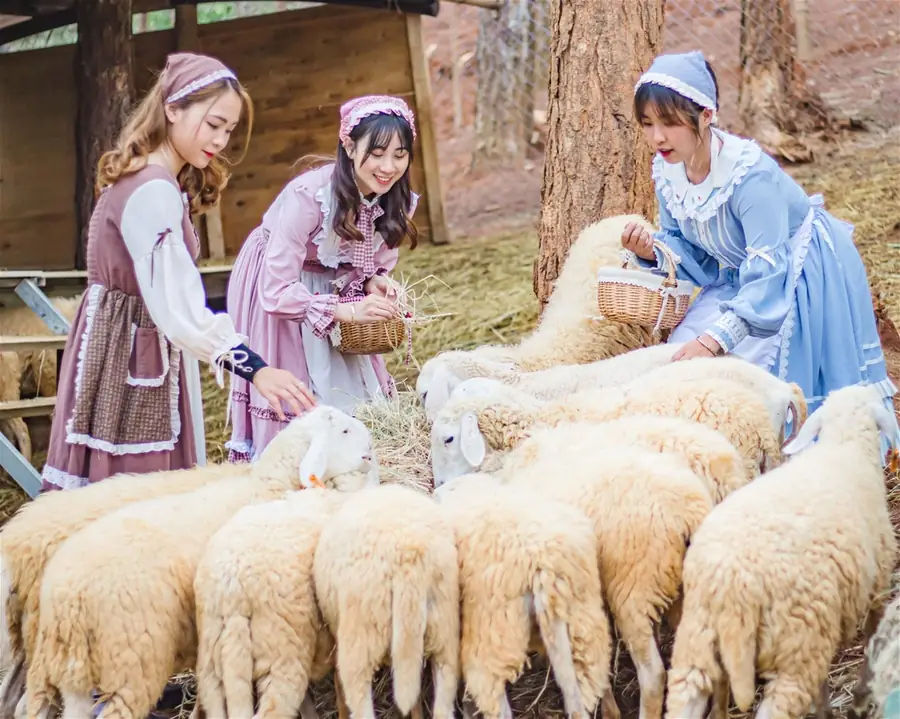 Vườn thú thân thiện