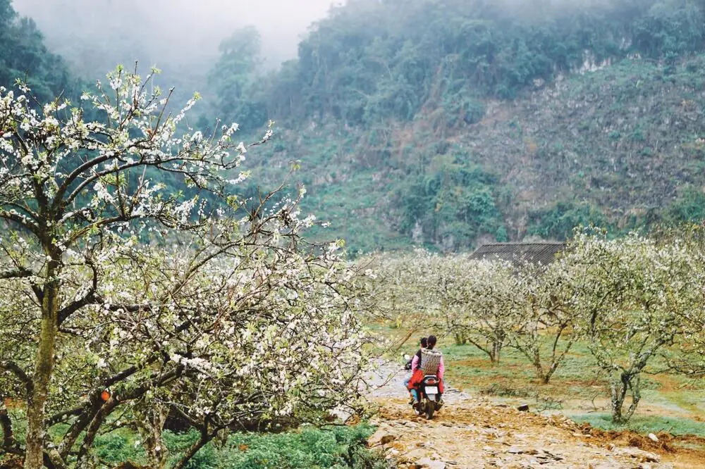 Thung Lũng Mận Nà Ka ở đâu?