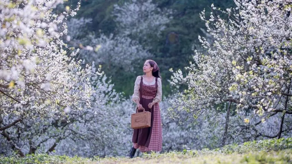 Ngắm hoa mận trắng nở rộ giữa Thung Lũng Mận Nà Ka