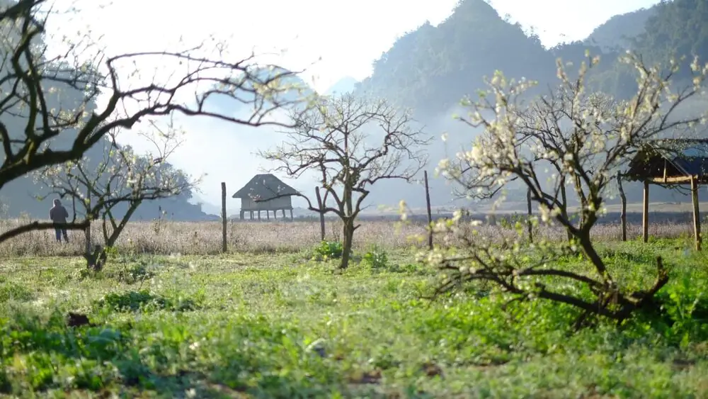 Danh sách các homestay gần Thung Lũng Mận Nà Ka