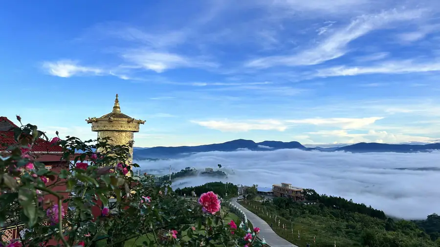Kinh nghiệm du lịch Đà Lạt