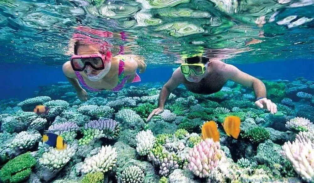 Lặn ngắm san hô bằng ống thở