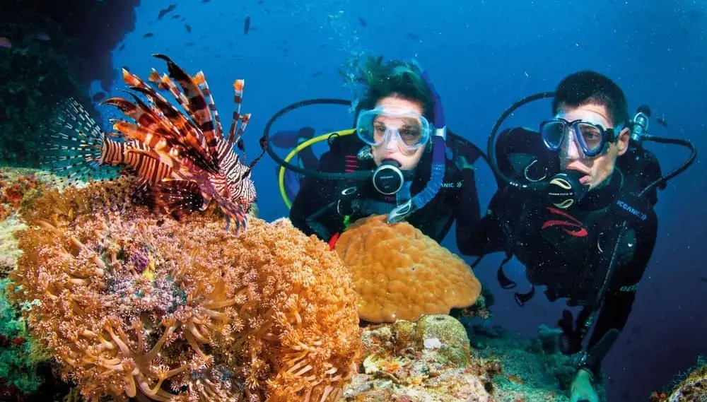 Lặn ngắm san hô bằng bình dưỡng khí