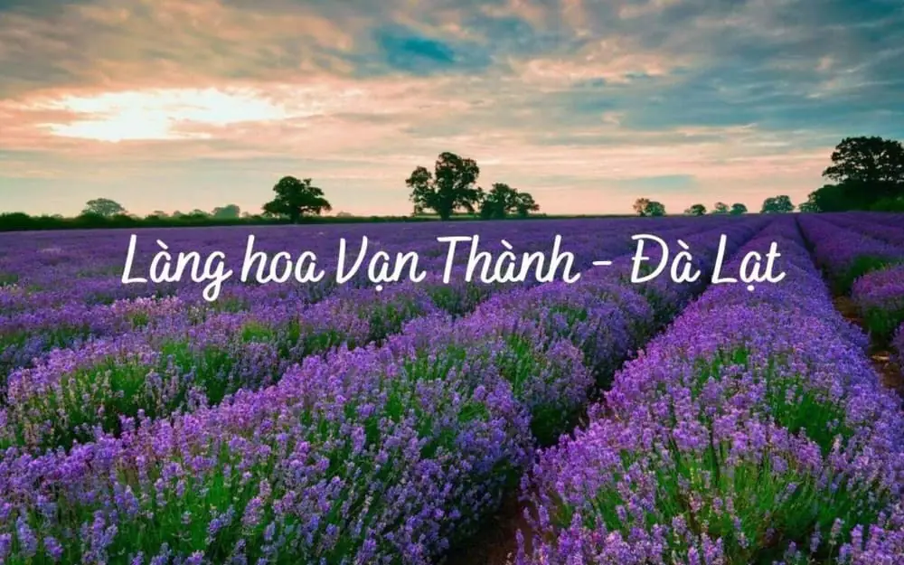 Làng hoa Vạn Thành - Thông tin địa chỉ, giá vé, đường đi 2025