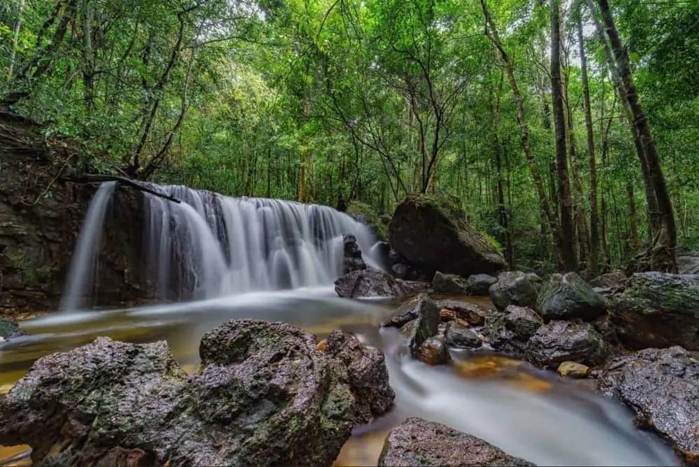 Suối Tranh với khu rừng yên bình