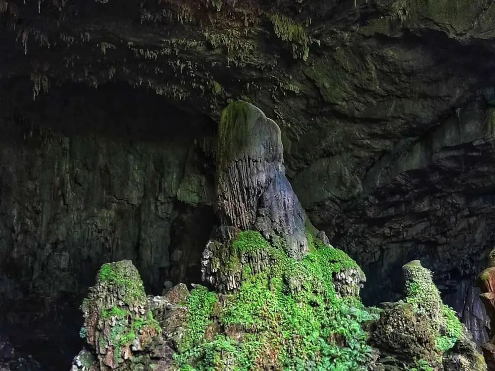 Hang dơi tự nhiên